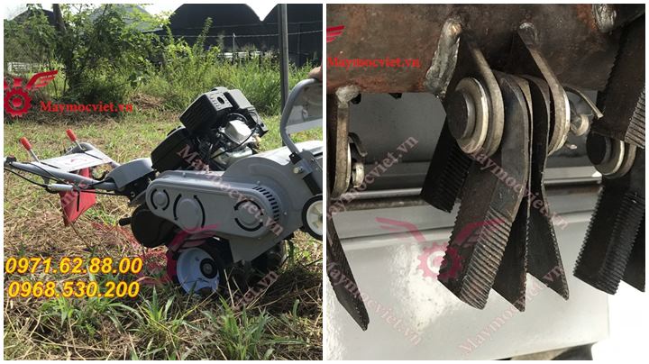 Máy cắt cỏ trục băm cho nhà vườn chất lượng cao