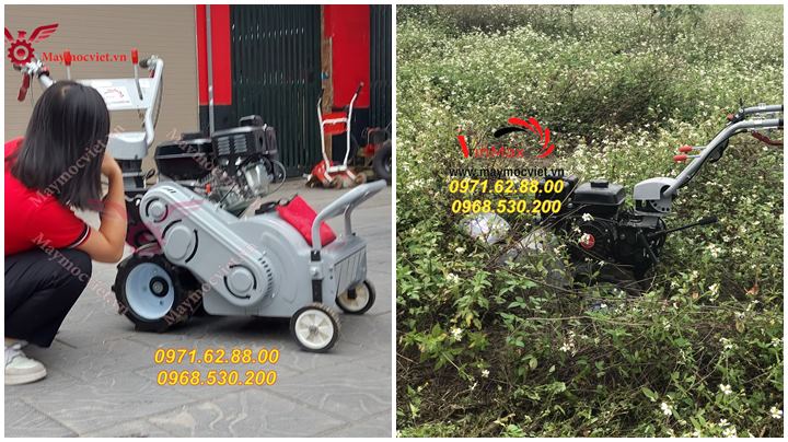 Mua máy căt cỏ trục băm giá rẻ tại Hà Nội