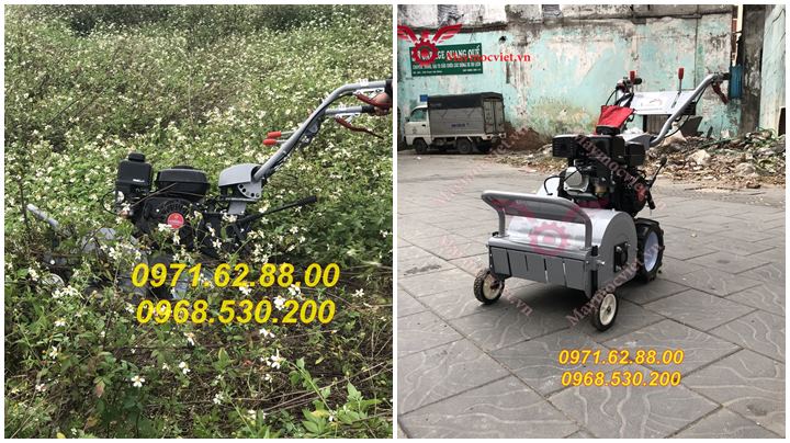 Mua máy căt cỏ trục băm giá rẻ tại Hà Nội