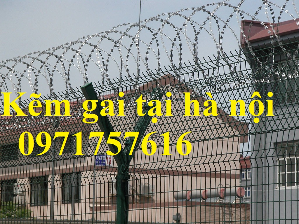 Bán dây thép gai hình dao ,kẽm gai lưới dao giá ưu đãi