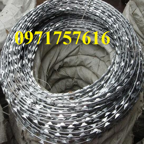 Bán dây thép gai hình dao ,kẽm gai lưới dao giá ưu đãi