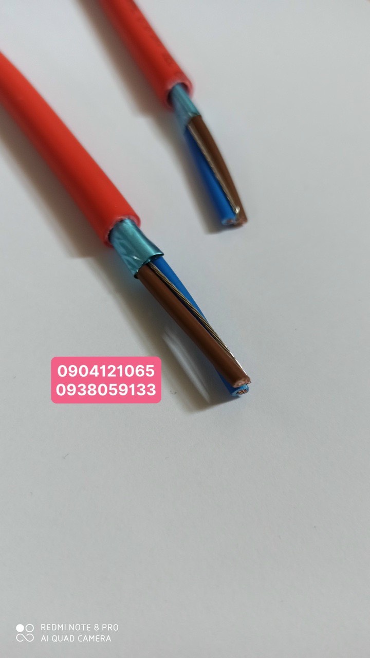 Cáp chống cháy 2 lõi x 1.0mm/1.5mm/2.5mm + AL+E điện áp 1000 volt