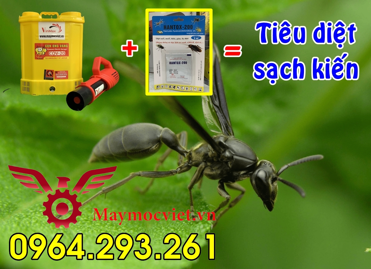 Máy phun thuốc diệt kiến, diệt côn trùng model Turbo BA6