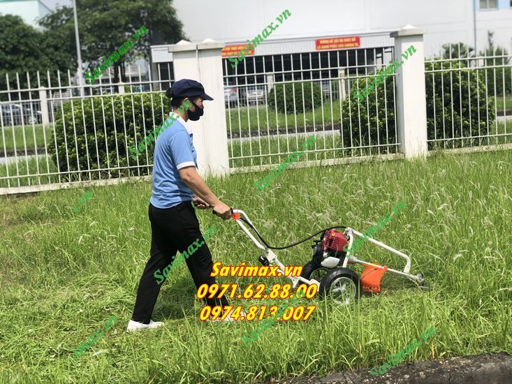 Máy cắt cỏ đẩy tay Honda GX35 giá rẻ tại Hà Nội