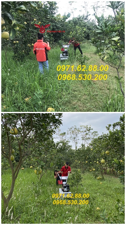 Máy quật cỏ trục băm 36 lưỡi văng giá rẻ Kawasaki VMTB70