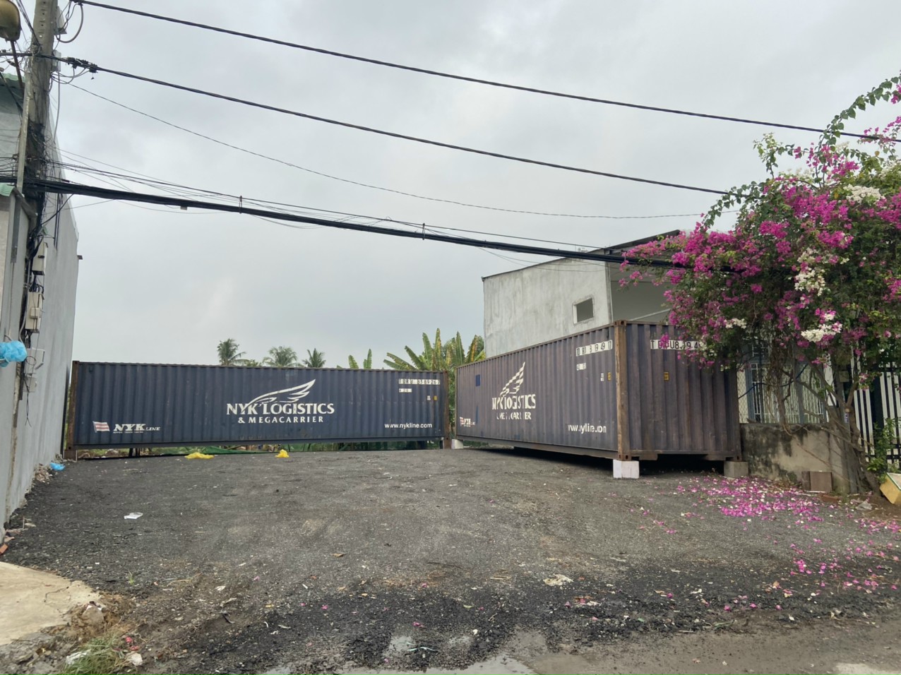 Container khô đang thanh lý và cho thuê giá cực tốt