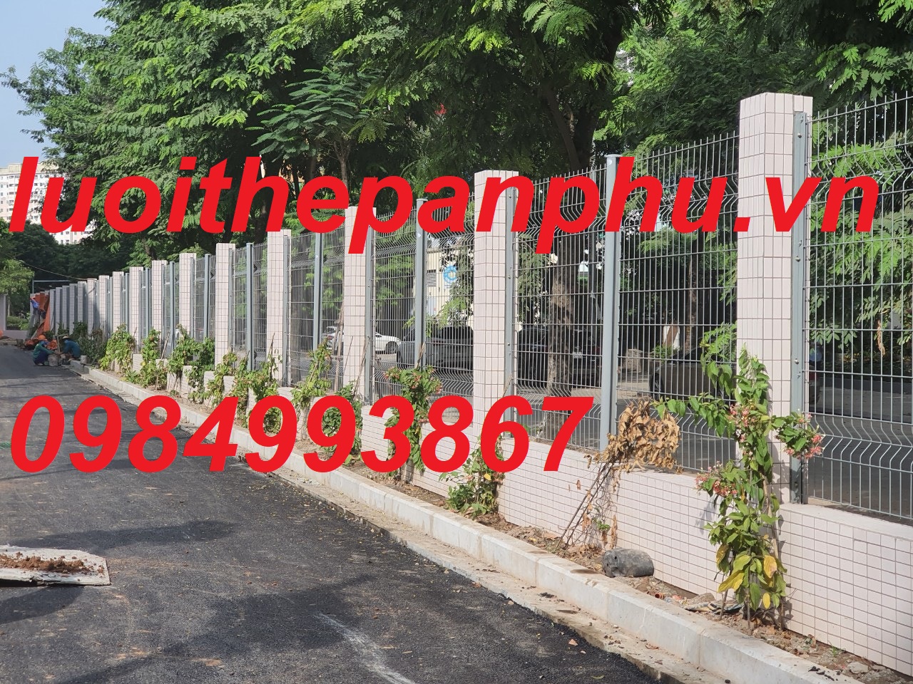 Lưới thép hàng rào mạ kẽm nhúng nóng D5 a 50x200mm