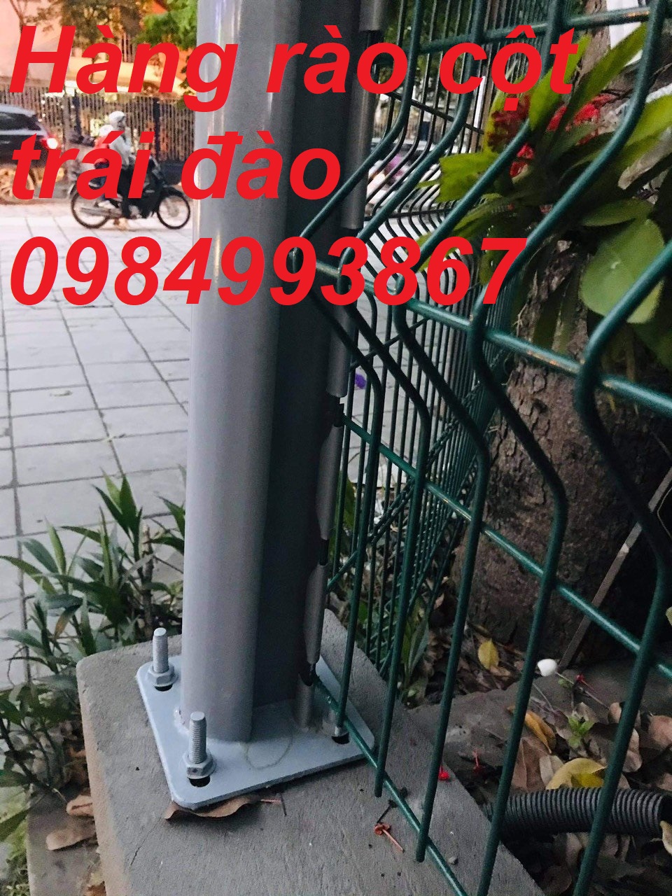 Lưới thép hàng rào mạ kẽm nhúng nóng D5 a 50x200mm