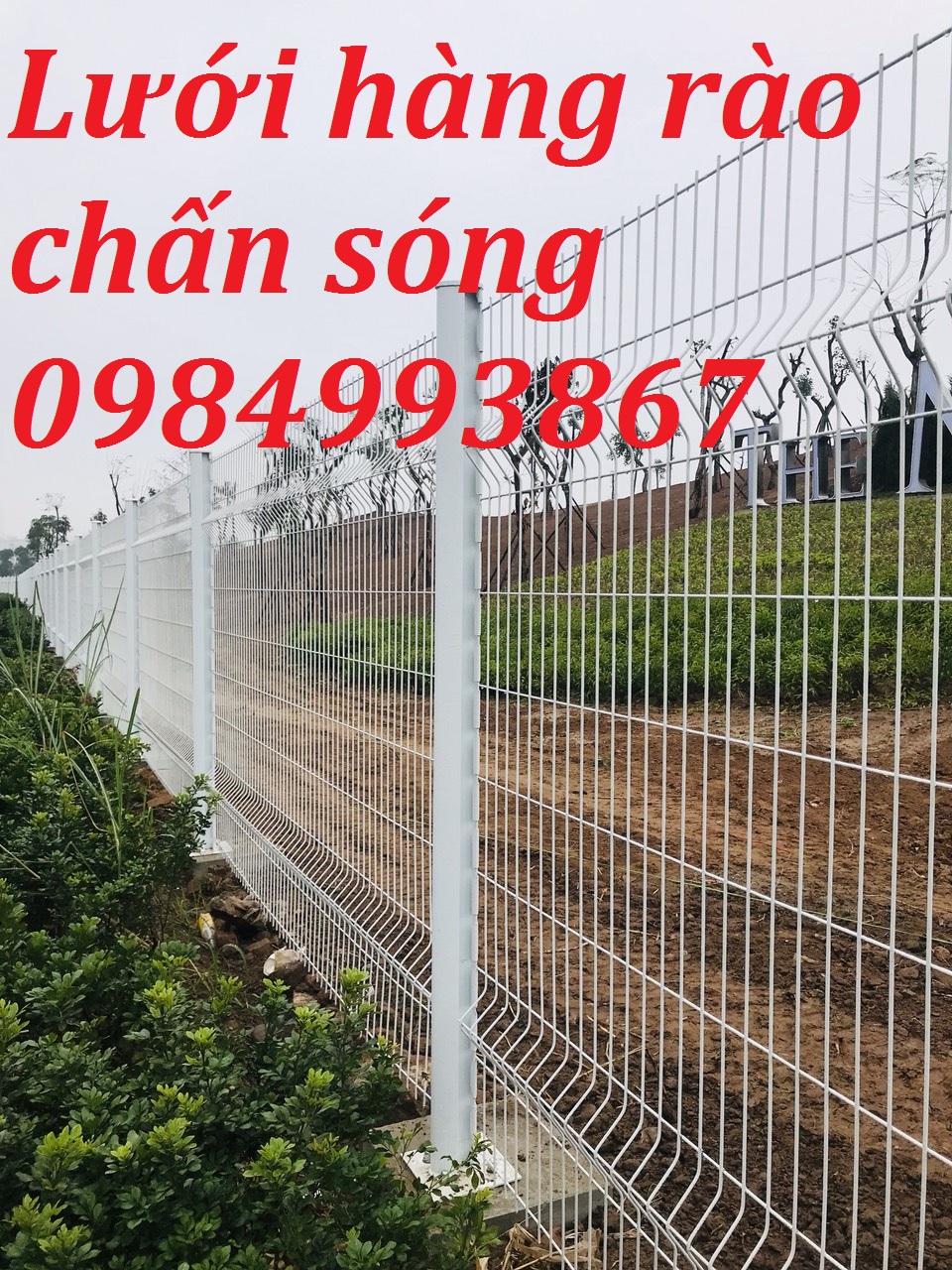 Cột trái đào lưới thép mạ kẽm sơn tĩnh điện