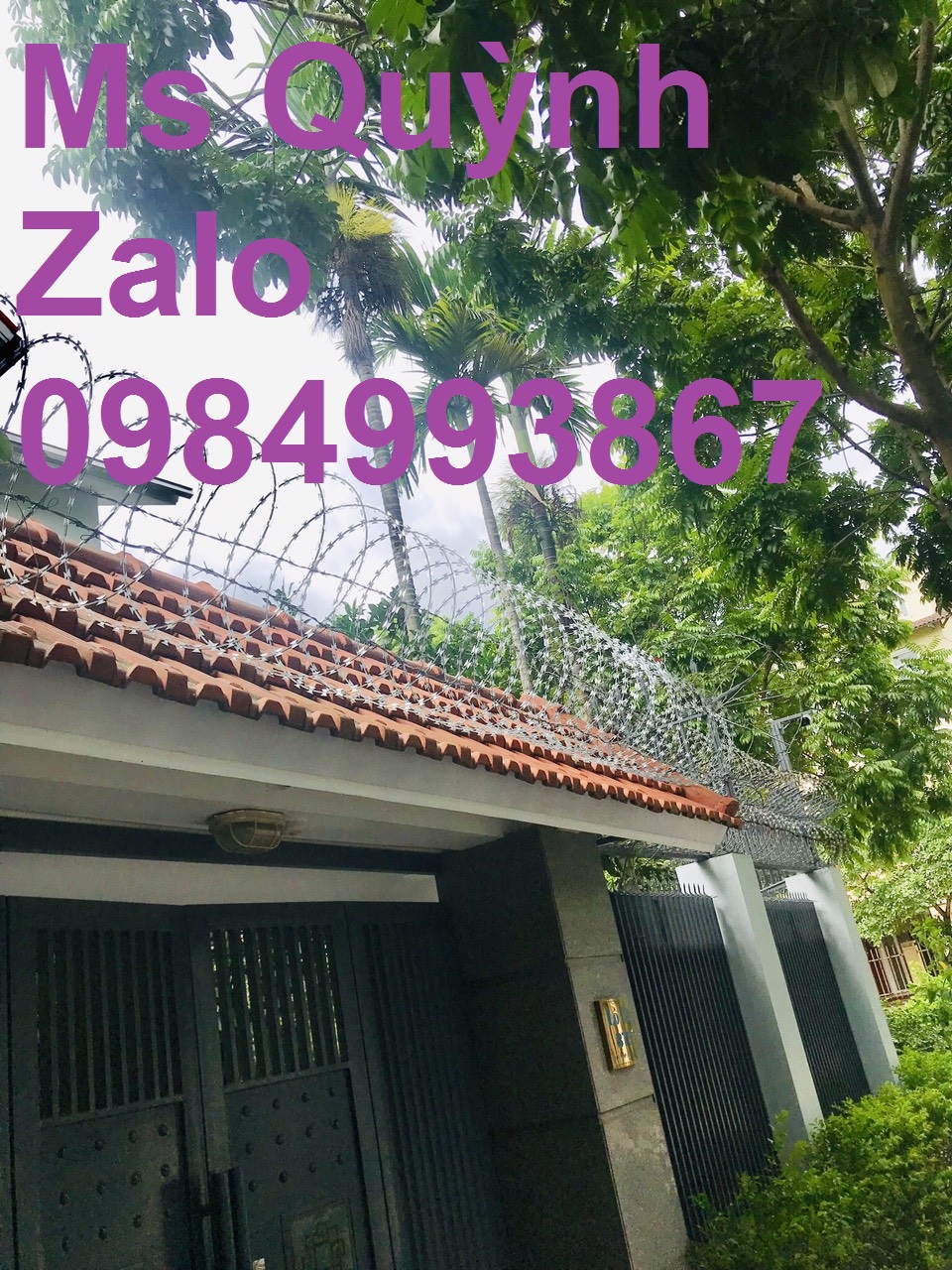 Dây thép gai hình dao vòng 45cm giao hàng tân nơi