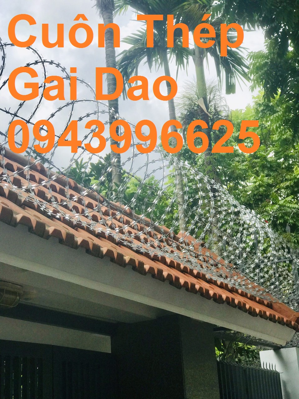 Dây thép gai hình dao vòng 45cm giao hàng tân nơi
