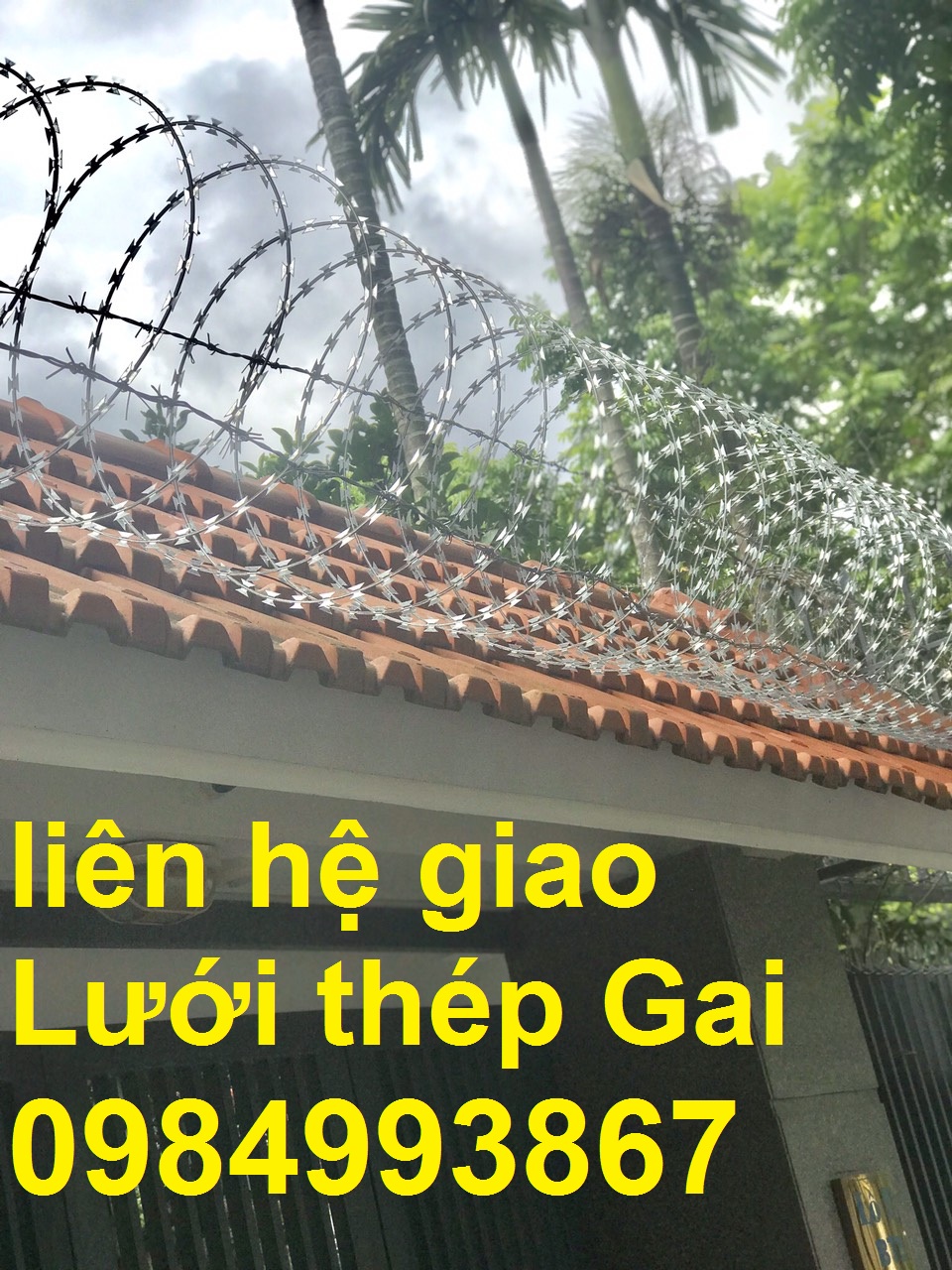 Dây thép gai hình dao vòng 45cm giao hàng tân nơi