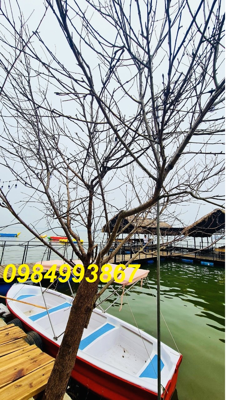 Thuyền dã ngoại ,đi câu bảo hành 2 năm dài 3m6 ,4m5