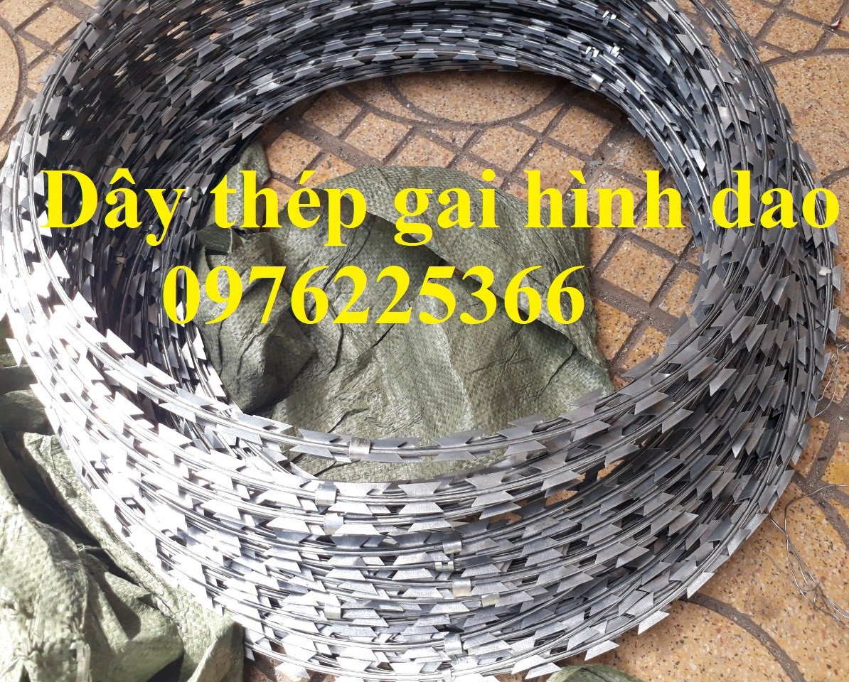 Dây thép gai hình dao bán sỉ ,bán lẻ giá rẻ