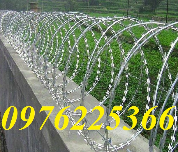 Dây thép gai hình dao bán sỉ ,bán lẻ giá rẻ