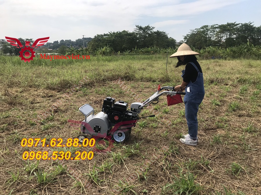 Báo giá máy cắt cỏ 42cm chạy xăng 7hp giá rẻ