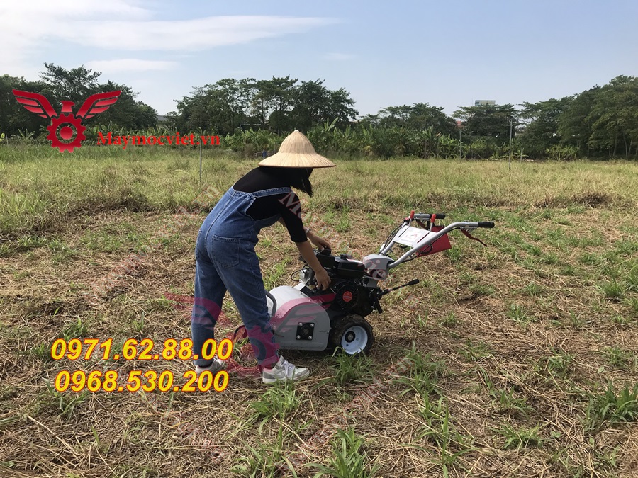 Báo giá máy cắt cỏ 42cm chạy xăng 7hp giá rẻ