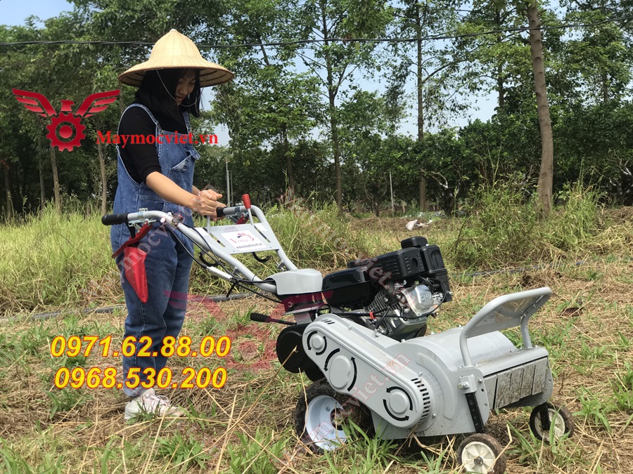 Báo giá máy cắt cỏ 42cm chạy xăng 7hp giá rẻ