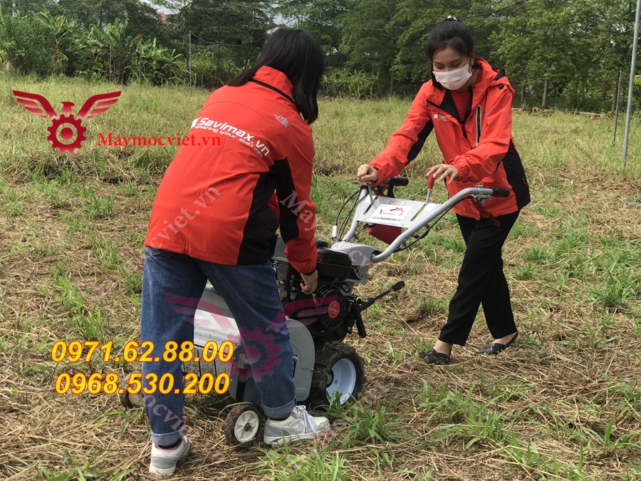 Báo giá máy cắt cỏ 42cm chạy xăng 7hp giá rẻ