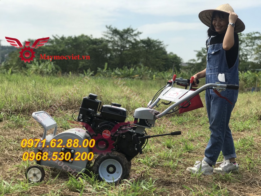 Báo giá máy cắt cỏ 42cm chạy xăng 7hp giá rẻ