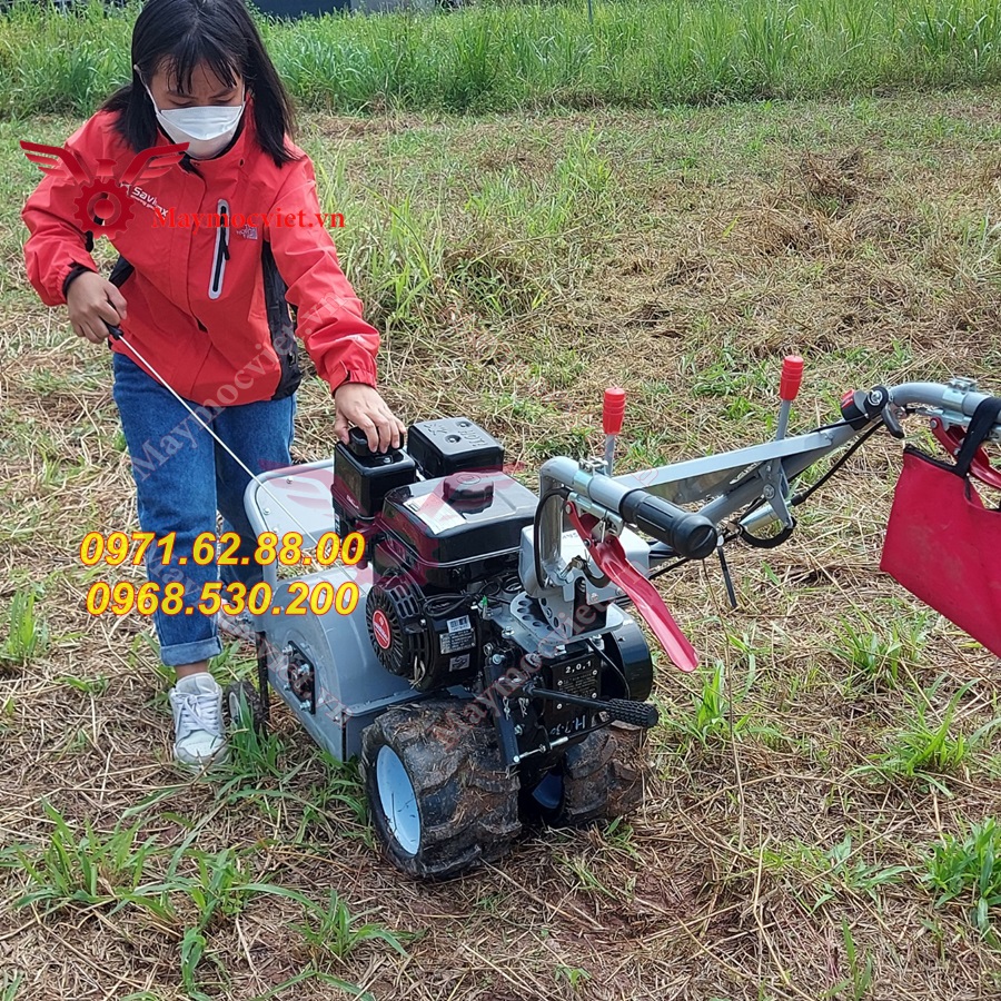 Báo giá máy cắt cỏ 42cm chạy xăng 7hp giá rẻ