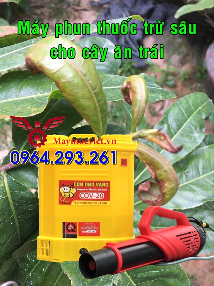 Bộ máy phun thuốc diệt côn trùng giá rẻ tại Thường Tín Hà Nội