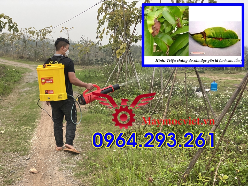 Bộ máy phun thuốc diệt côn trùng giá rẻ tại Thường Tín Hà Nội