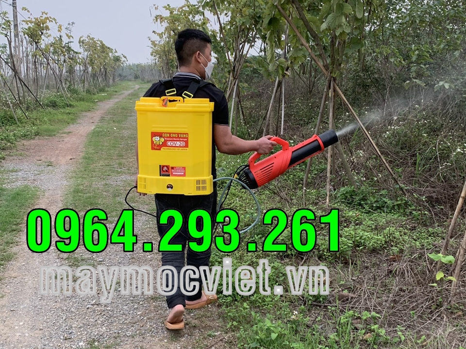 Bộ máy phun thuốc diệt côn trùng giá rẻ tại Thường Tín Hà Nội