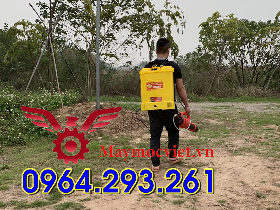 Bộ máy phun thuốc diệt côn trùng giá rẻ tại Thường Tín Hà Nội