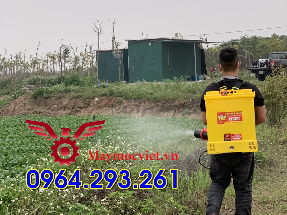 Bộ máy phun thuốc diệt côn trùng giá rẻ tại Thường Tín Hà Nội