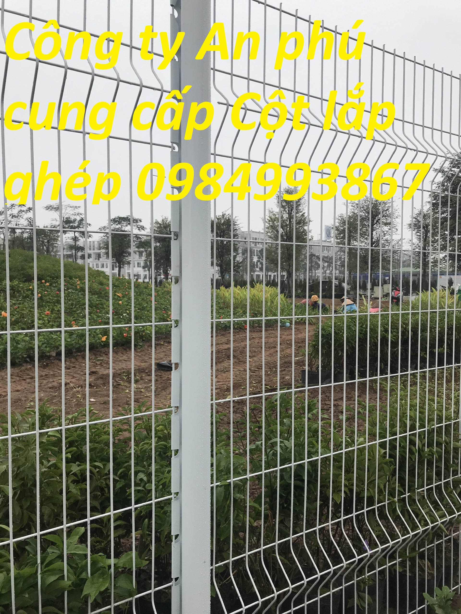 Cột trái đào ,hàng rào cột trái đào mạ kẽm sơn tĩnh điện