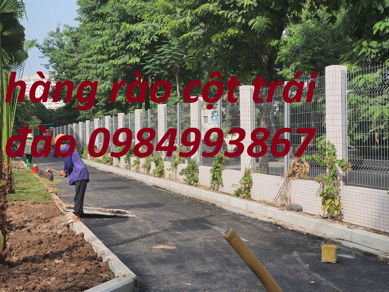 Cột trái đào ,hàng rào cột trái đào mạ kẽm sơn tĩnh điện