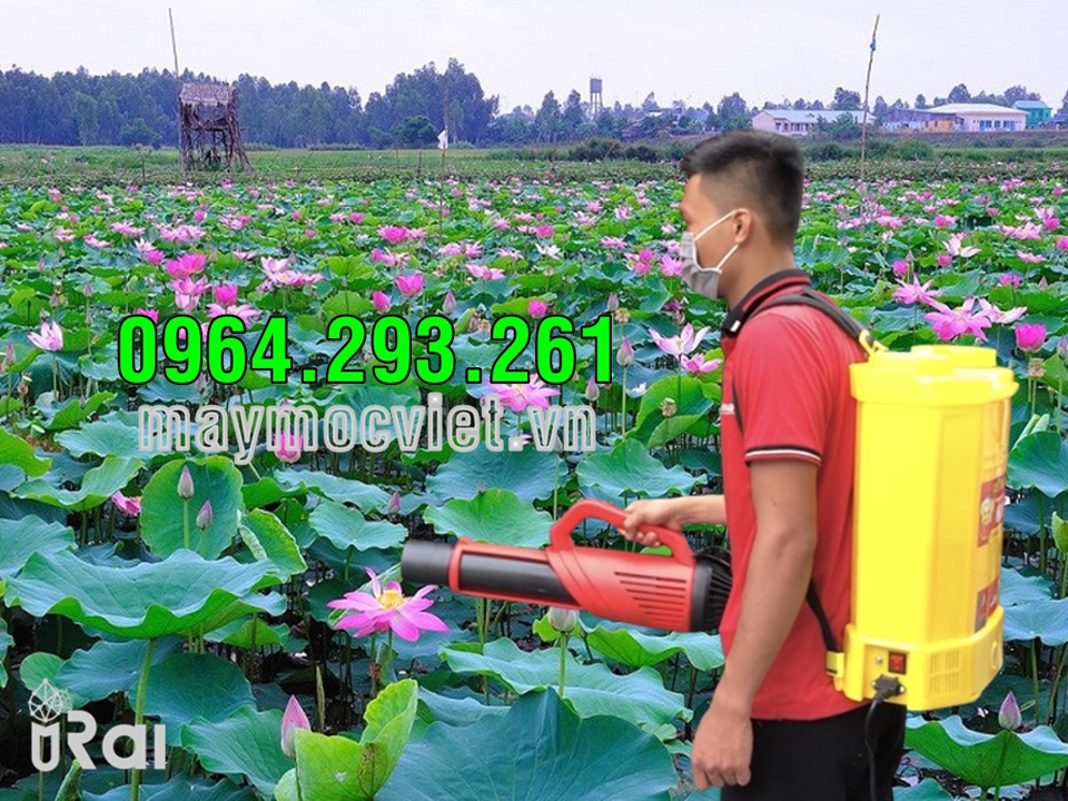 Máy phun thuốc trừ sâu bảo vệ hoa sen nở mùa hè 2023