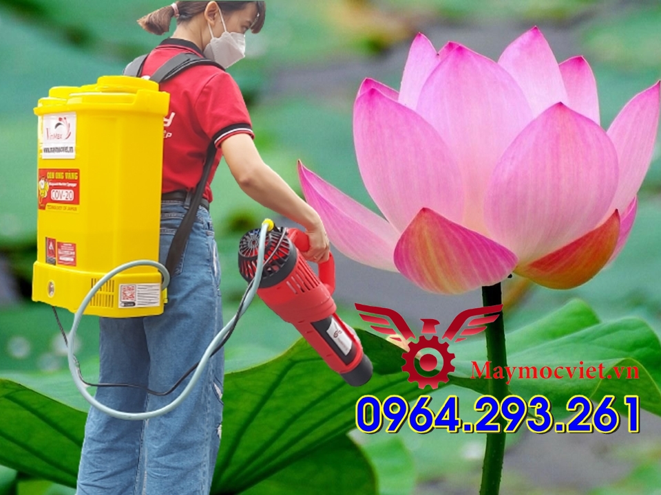 Bình phun thuốc sâu 20 lít CON ONG VÀNG gắn vòi phun Turbo BA6