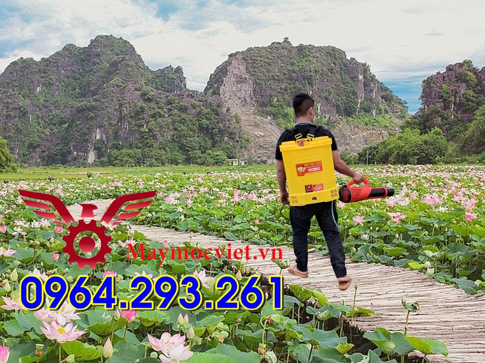 Bình phun thuốc sâu 20 lít CON ONG VÀNG gắn vòi phun Turbo BA6