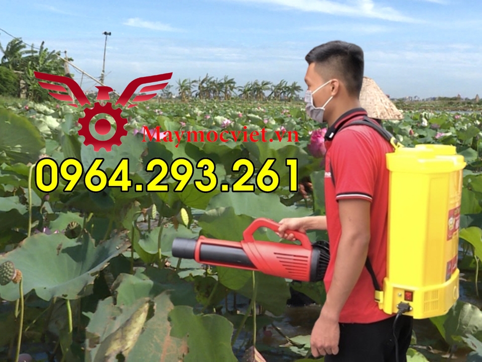 Bình phun thuốc sâu 20 lít CON ONG VÀNG gắn vòi phun Turbo BA6