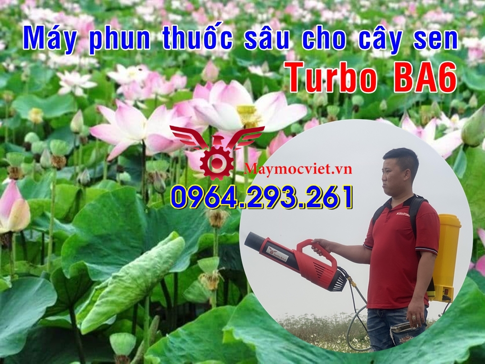 Bình phun thuốc sâu 20 lít CON ONG VÀNG gắn vòi phun Turbo BA6