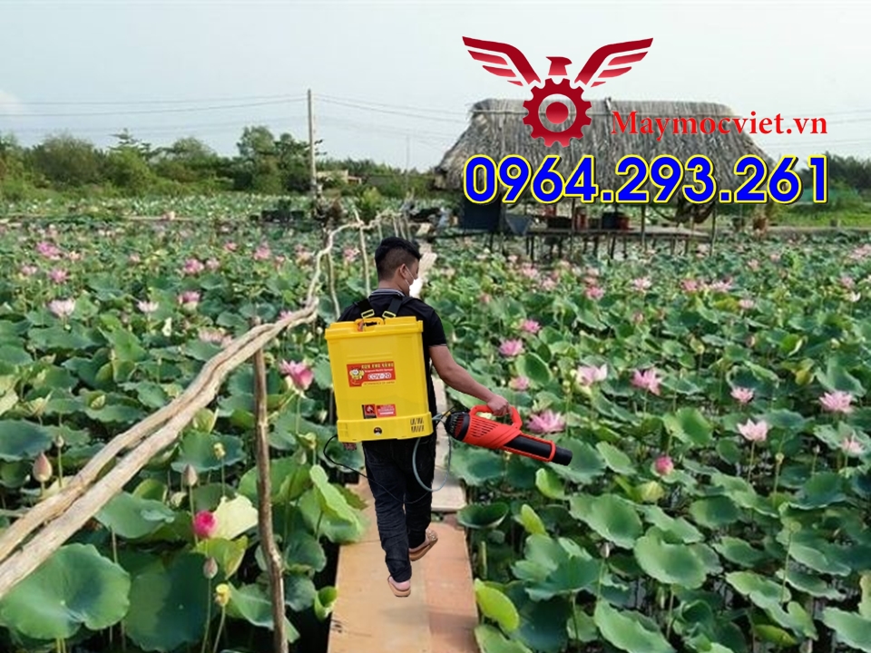 Bình phun thuốc sâu 20 lít CON ONG VÀNG gắn vòi phun Turbo BA6