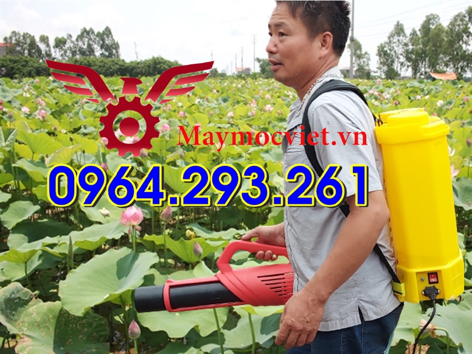 Bình phun thuốc sâu 20 lít CON ONG VÀNG gắn vòi phun Turbo BA6