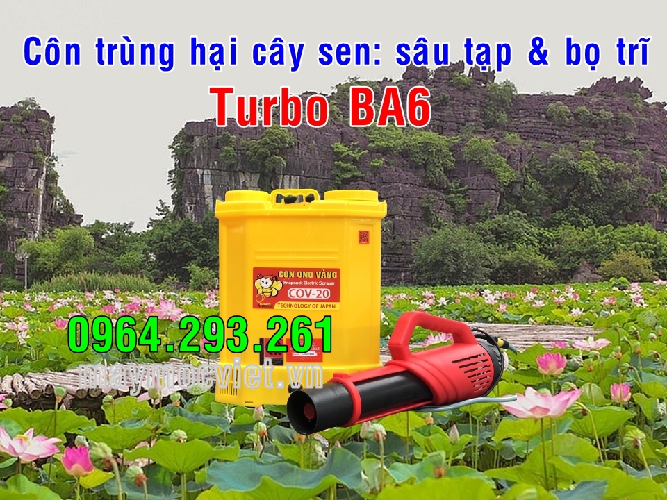 Bình phun thuốc sâu 20 lít CON ONG VÀNG gắn vòi phun Turbo BA6