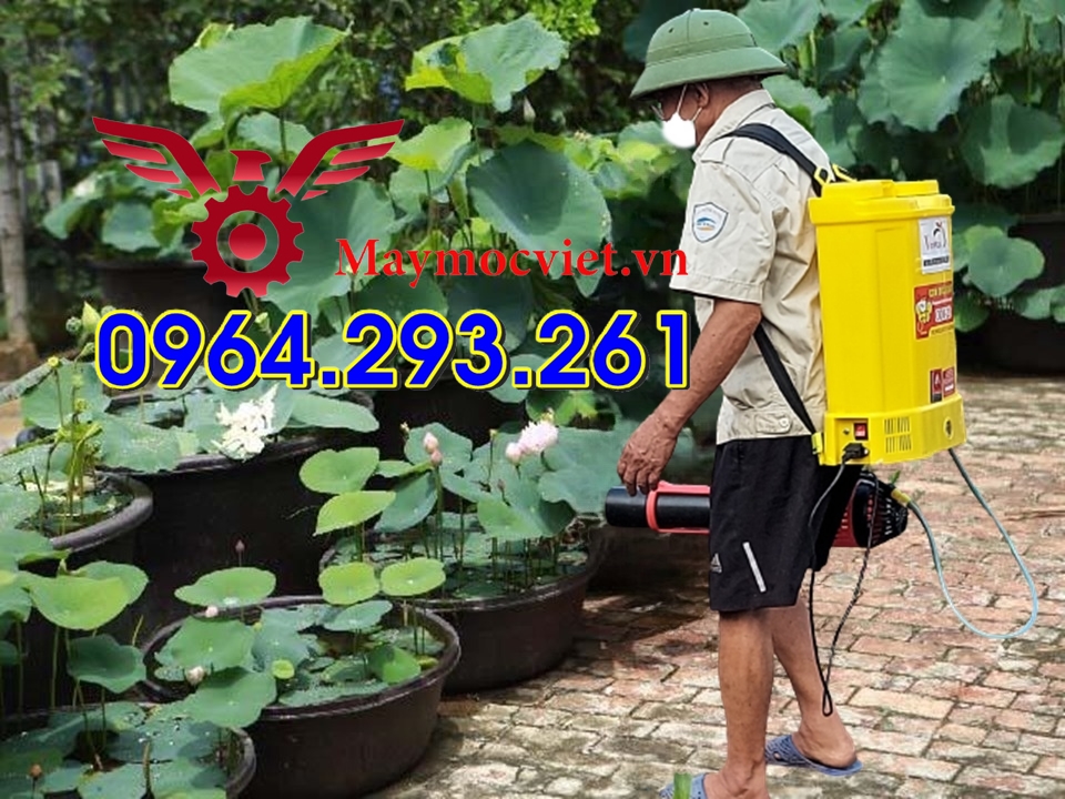 Bình phun thuốc sâu 20 lít CON ONG VÀNG gắn vòi phun Turbo BA6