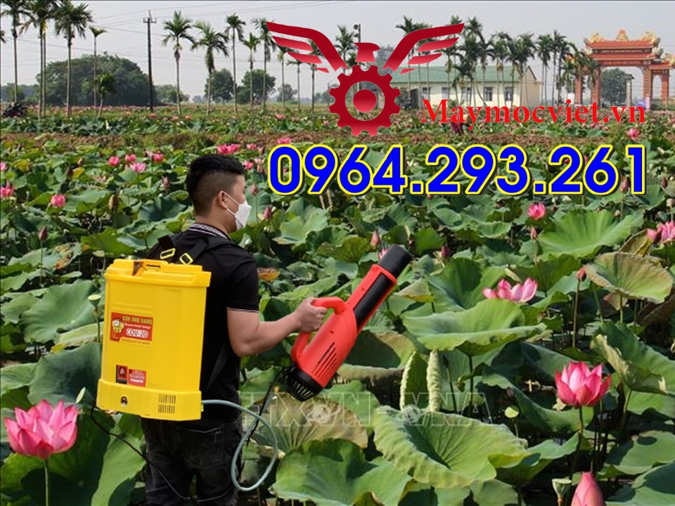 Bình phun thuốc sâu 20 lít CON ONG VÀNG gắn vòi phun Turbo BA6