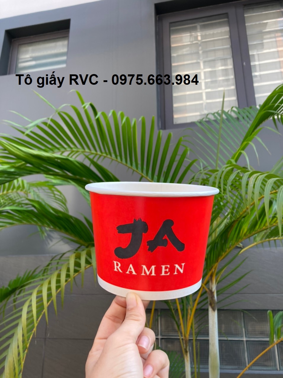 Tô giấy đựng bún bò giá sỉ dung tích 800ml