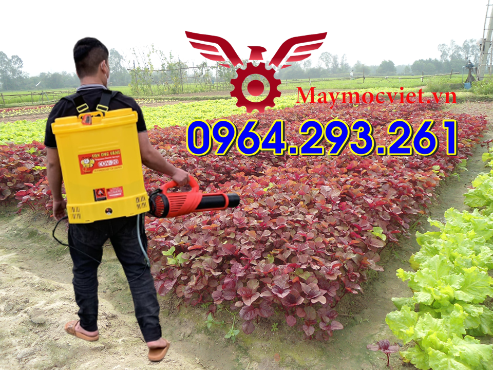 Máy phun tưới rau hiệu quả có thể phun thuốc sâu chạy ắc quy điện 12V