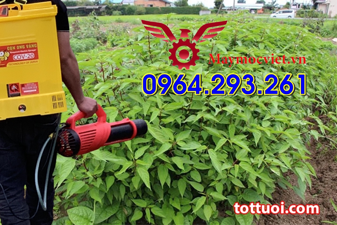 Máy phun tưới rau hiệu quả có thể phun thuốc sâu chạy ắc quy điện 12V