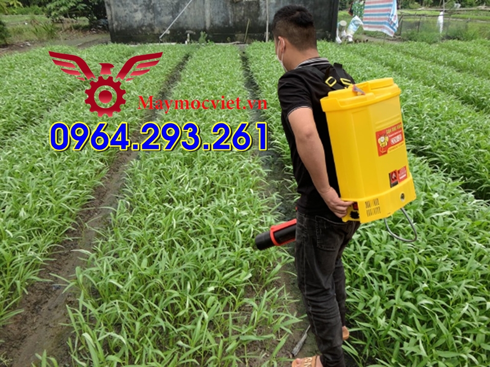 Máy phun tưới rau hiệu quả có thể phun thuốc sâu chạy ắc quy điện 12V