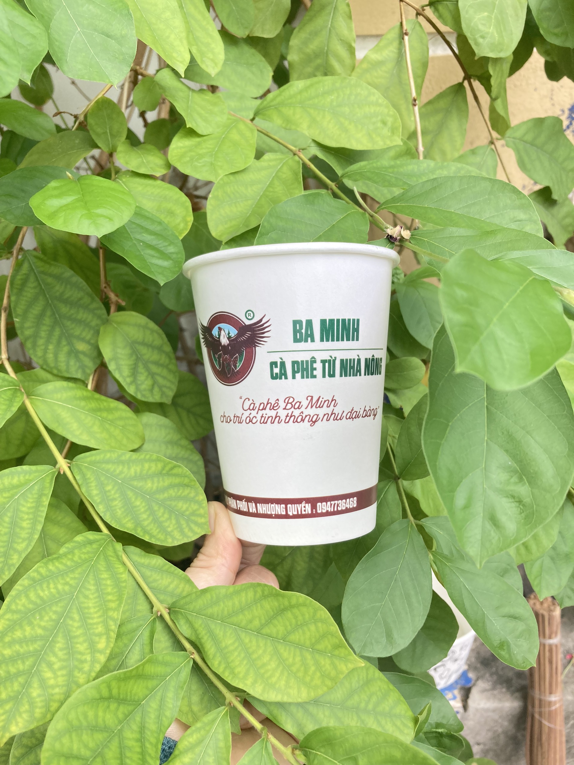 Điểm in ly giấy cafe chất lượng giá sỉ tại Thủ Đức