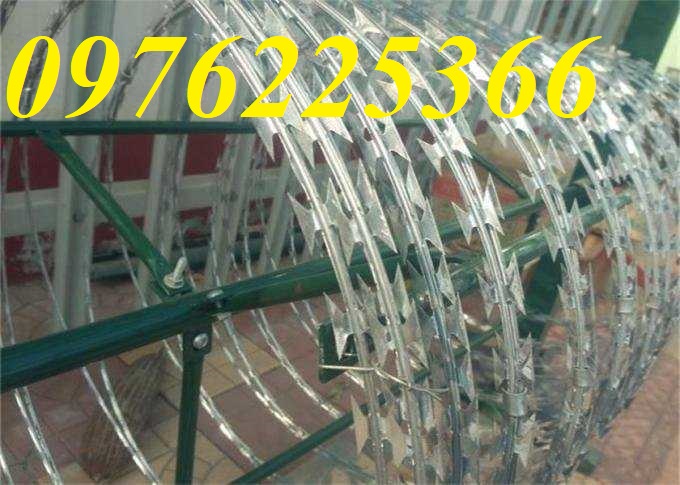 Đại lý dây thép gai hình dao,dây kẽm gai lưới dao tại Hà Nội