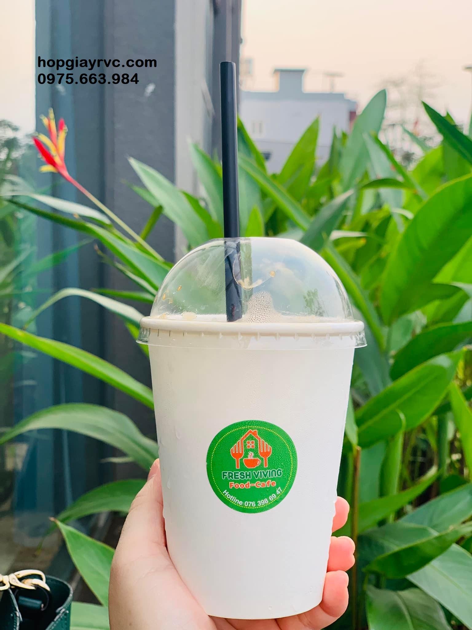 Công ty bán ly giấy giá rẻ cao cấp tại Thủ Đức