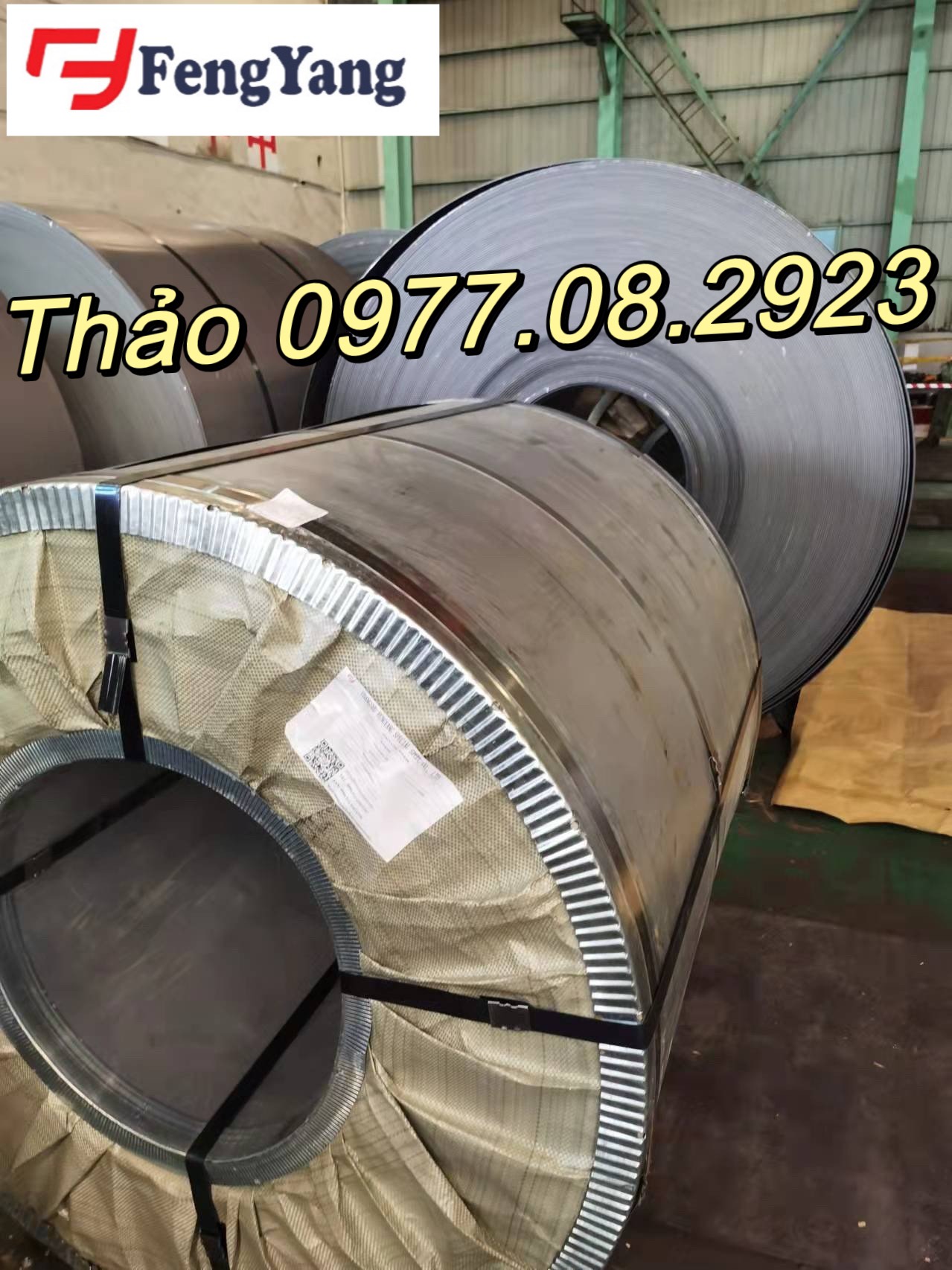 Cung cấp các loại thép cuộn PO